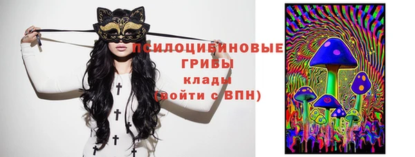 дмт Алзамай