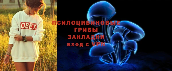 не бодяженный Аркадак