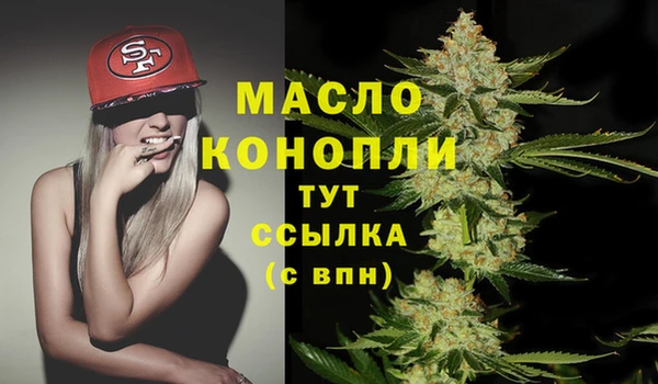 дмт Алзамай