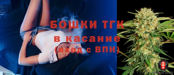 стаф Арсеньев