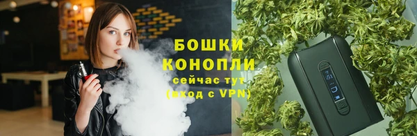 стаф Арсеньев