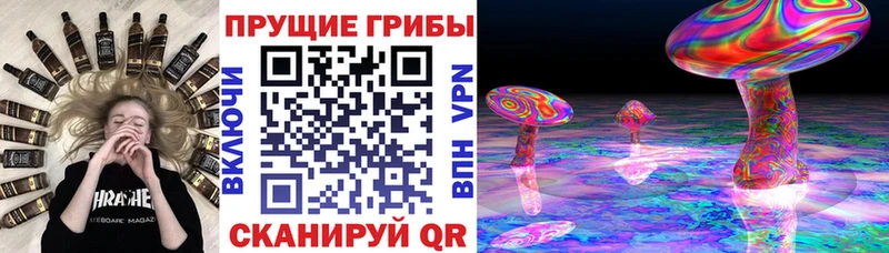 купить  цена  Цимлянск  Псилоцибиновые грибы Magic Shrooms 